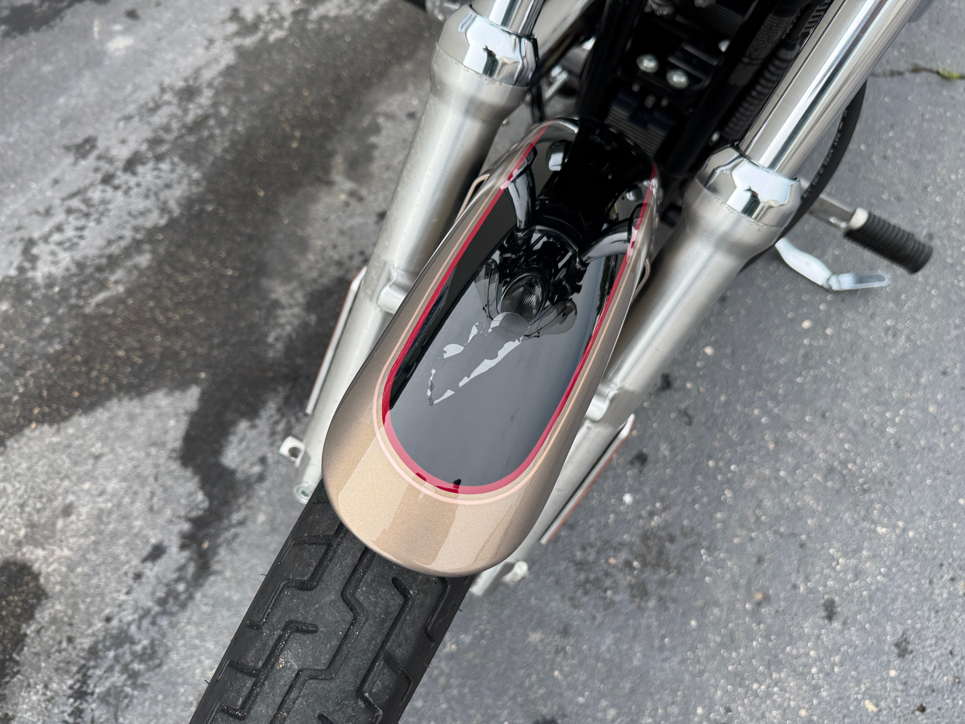 2004 Harley-Davidson Sportster 1200 Custom Base